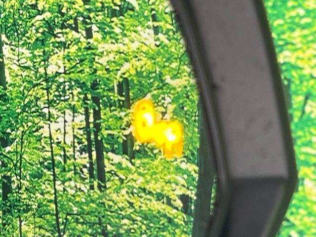 ハリアー(新潟県長岡市)