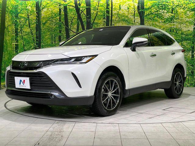 ハリアー(新潟県長岡市)