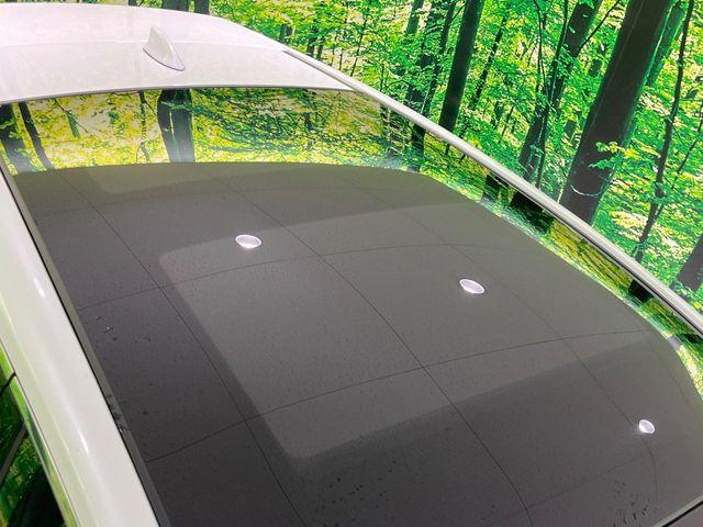 ハリアー(新潟県長岡市)