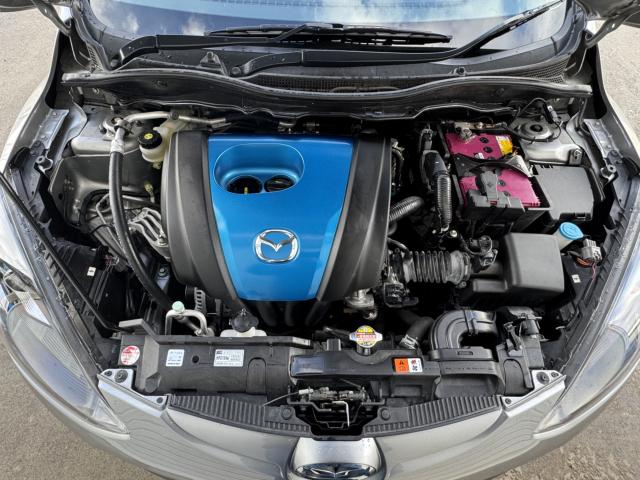 デミオ(新潟県新潟市西区)