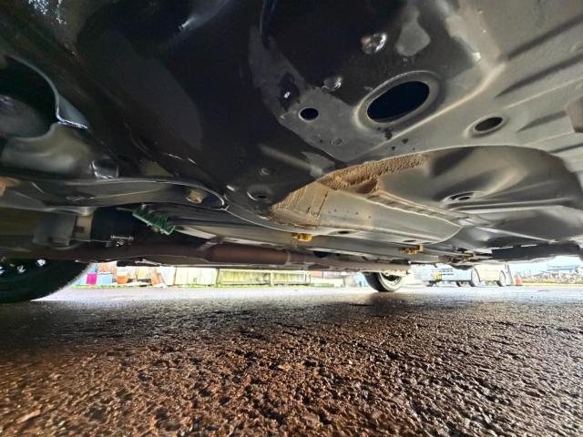 ルーミー(新潟県新発田市)