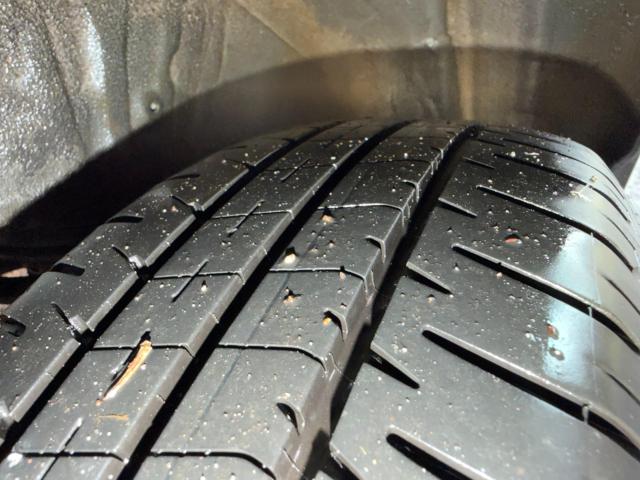 ルーミー(新潟県新発田市)