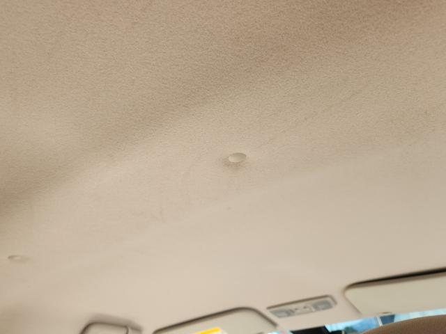 デイズ(新潟県新潟市秋葉区)