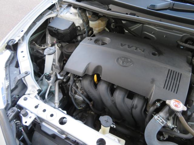 カローラアクシオ(新潟県新潟市中央区)