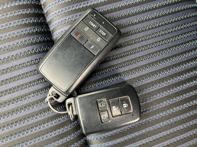 ヴォクシー(新潟県長岡市)