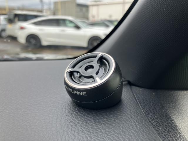 ヴォクシー(新潟県長岡市)