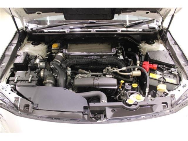 レヴォーグ(新潟県新潟市東区)