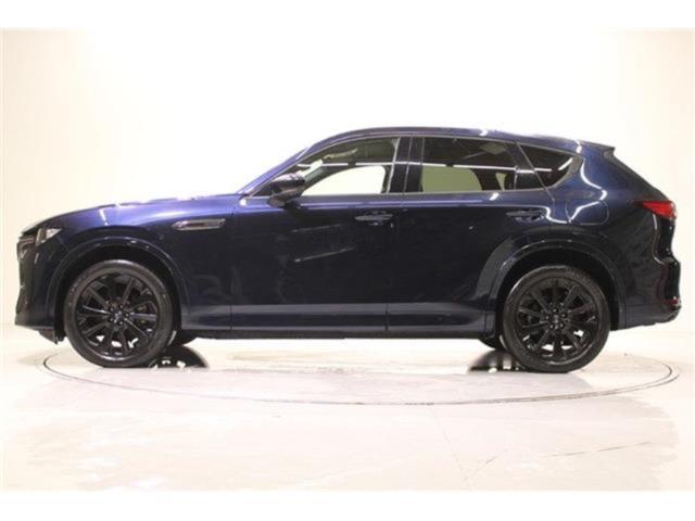 CX-60(新潟県新潟市東区)