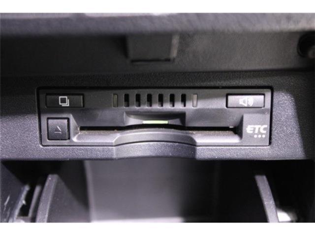 ヴェルファイア(新潟県新潟市東区)