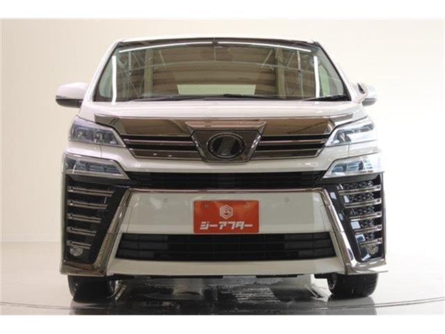 ヴェルファイア(新潟県新潟市東区)