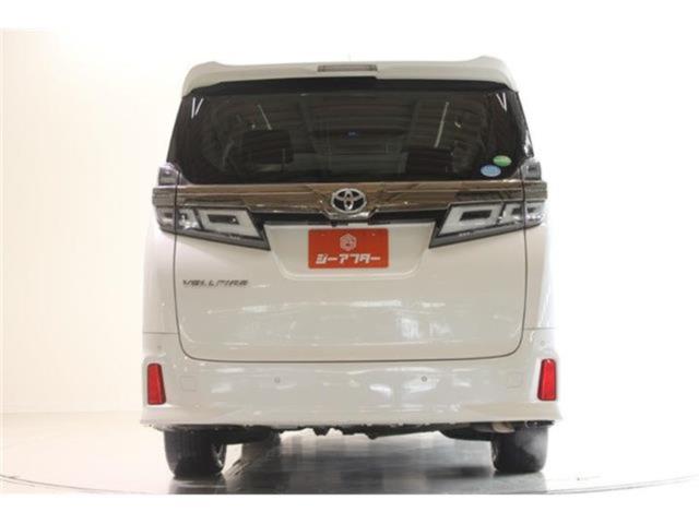 ヴェルファイア(新潟県新潟市東区)