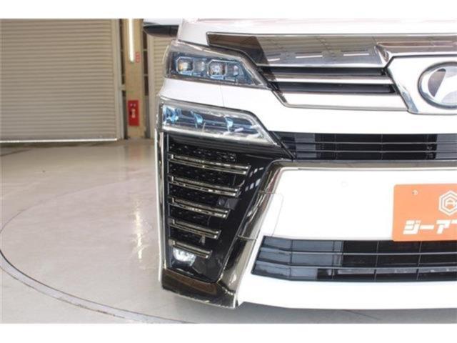 ヴェルファイア(新潟県新潟市東区)