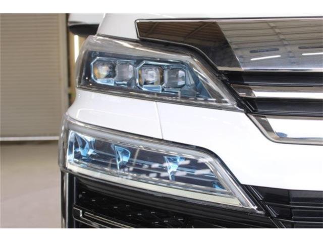 ヴェルファイア(新潟県新潟市東区)