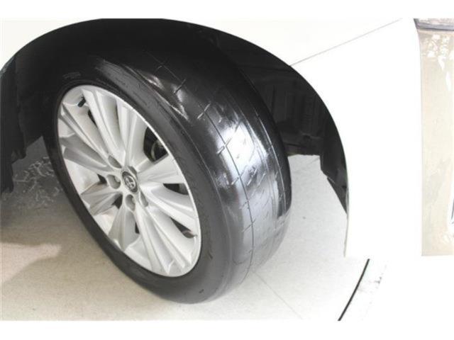 ヴェルファイア(新潟県新潟市東区)