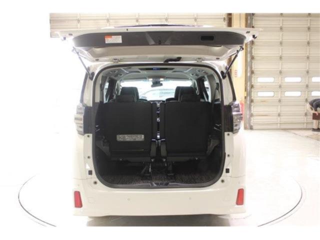 ヴェルファイア(新潟県新潟市東区)