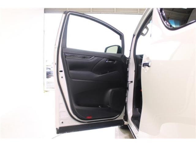 ヴェルファイア(新潟県新潟市東区)