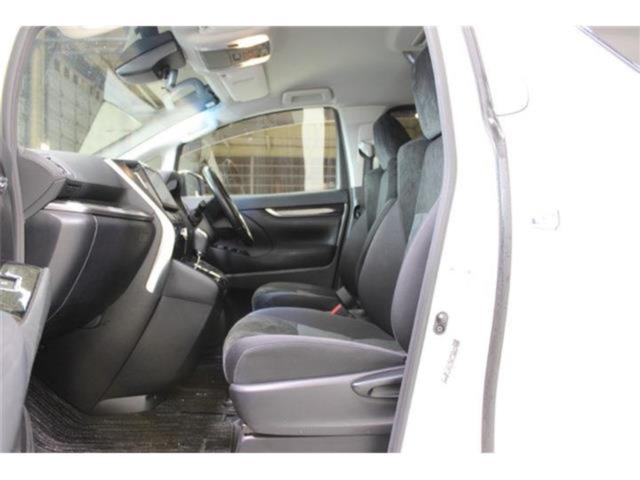 ヴェルファイア(新潟県新潟市東区)