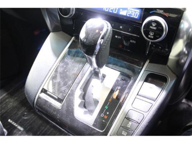 ヴェルファイア(新潟県新潟市東区)