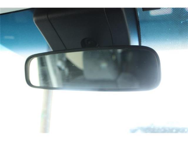 ヴェルファイア(新潟県新潟市東区)