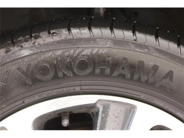 ノア(新潟県新潟市東区)