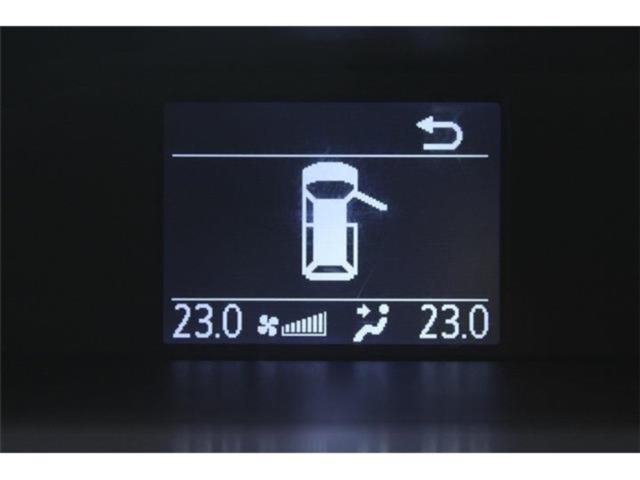 ヴォクシー(新潟県新潟市東区)