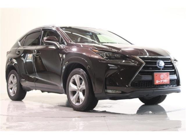 レクサスNX(新潟県新潟市東区)