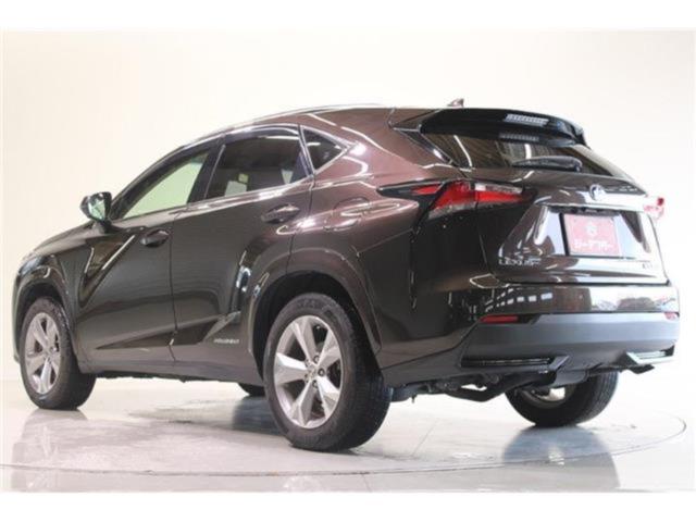 レクサスNX(新潟県新潟市東区)