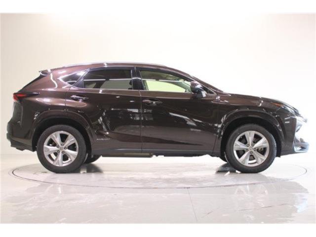 レクサスNX(新潟県新潟市東区)