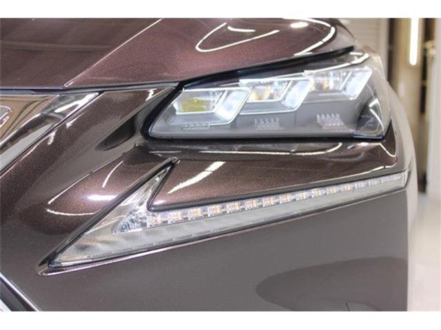 レクサスNX(新潟県新潟市東区)