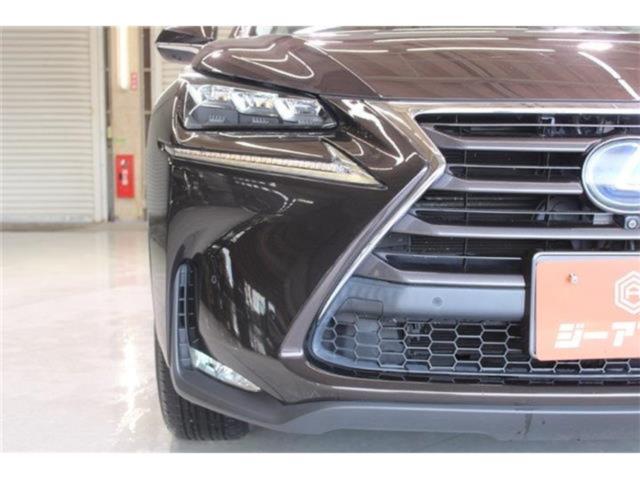 レクサスNX(新潟県新潟市東区)