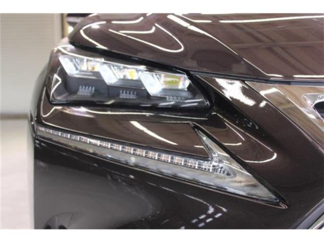 レクサスNX(新潟県新潟市東区)