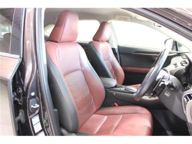 レクサスNX(新潟県新潟市東区)