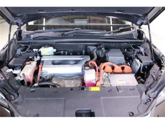 レクサスNX(新潟県新潟市東区)