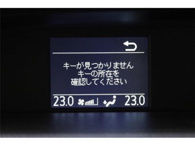 ヴォクシー(新潟県新潟市東区)