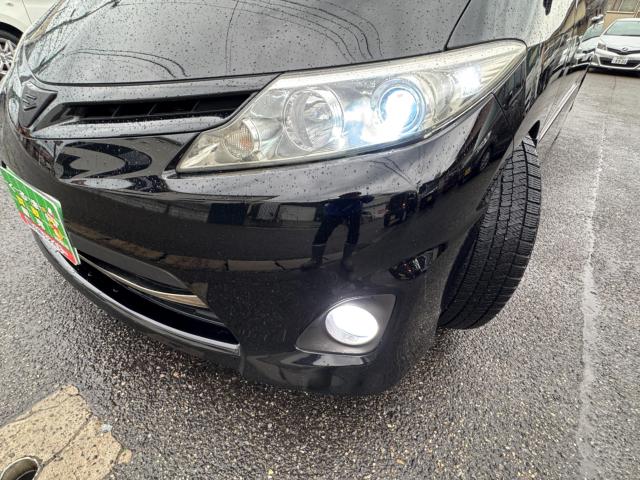 エスティマ(新潟県新潟市西区)