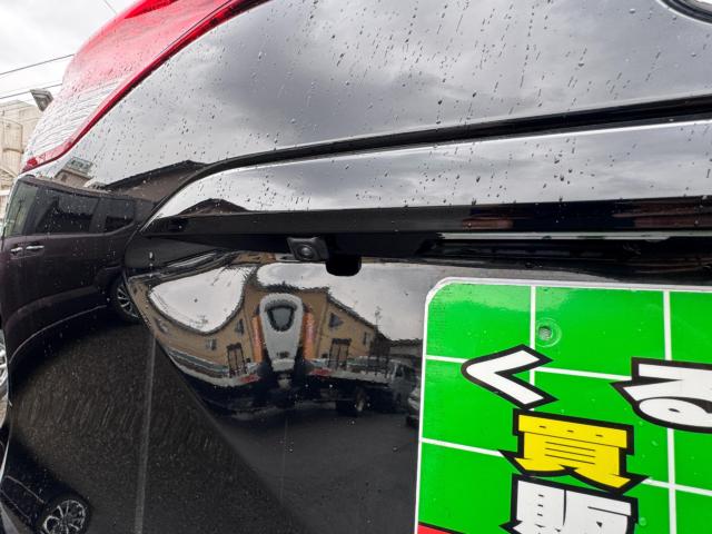 エスティマ(新潟県新潟市西区)