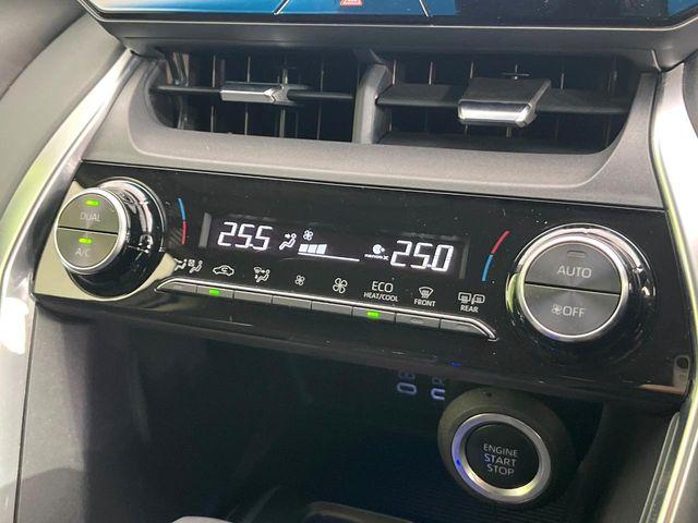 ハリアー(新潟県新潟市東区)