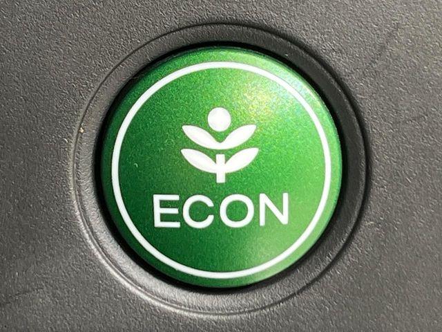 ヴェゼル(新潟県新潟市南区)