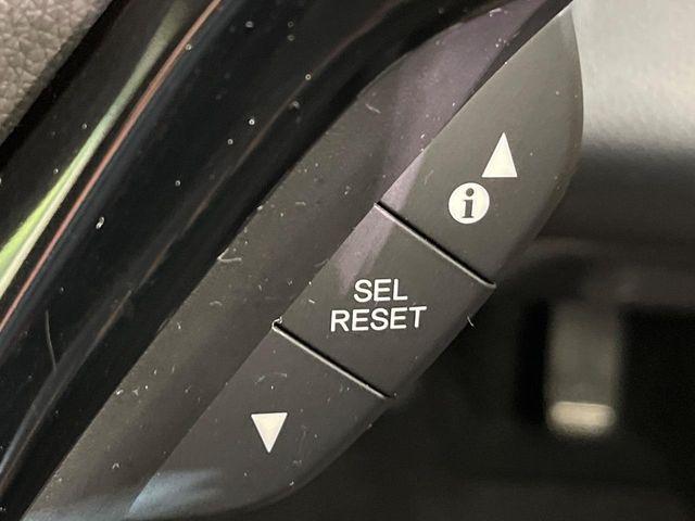 ヴェゼル(新潟県新潟市南区)