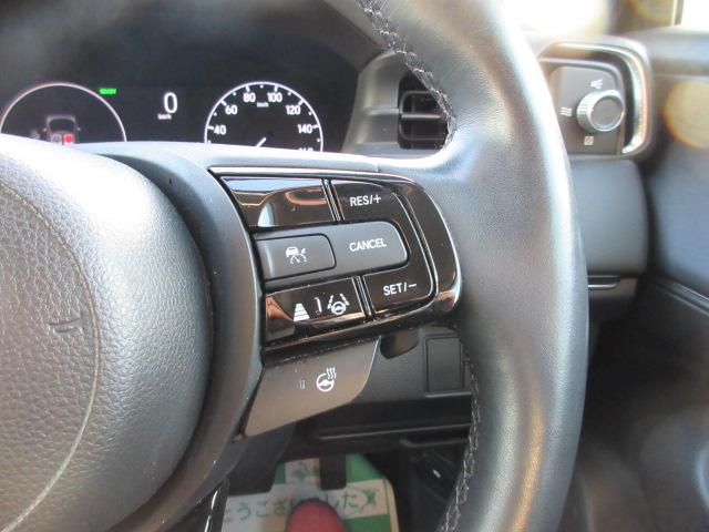 ヴェゼル(新潟県柏崎市)