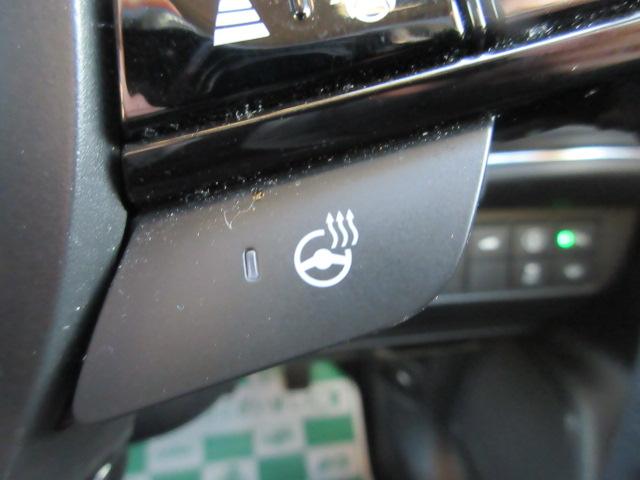 ヴェゼル(新潟県柏崎市)