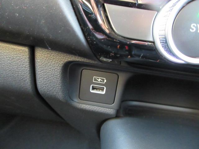 ヴェゼル(新潟県柏崎市)