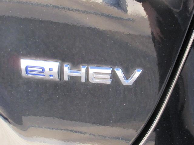 ヴェゼル(新潟県柏崎市)