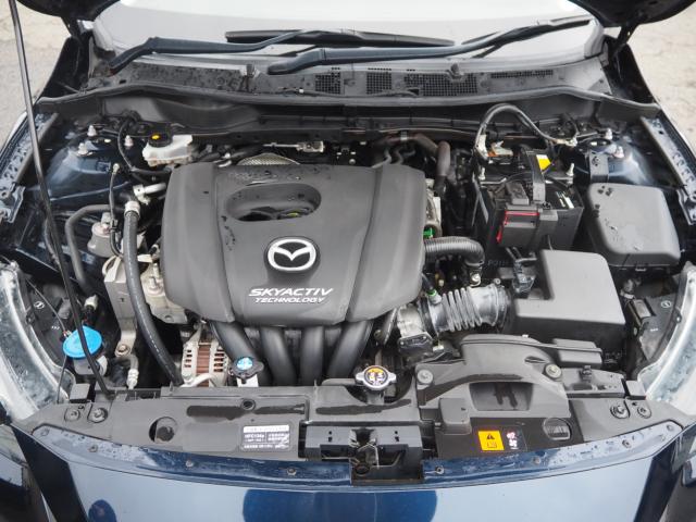 デミオ(新潟県新潟市西区)