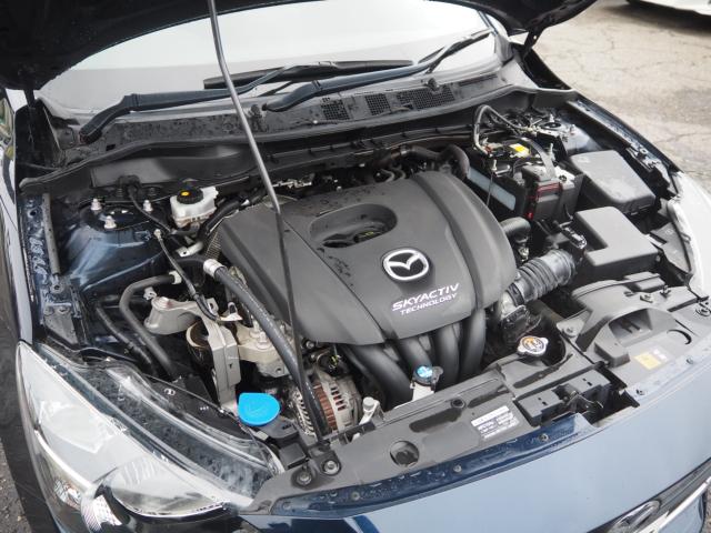 デミオ(新潟県新潟市西区)