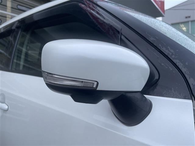 イグニス（新潟県柏崎市）画像13