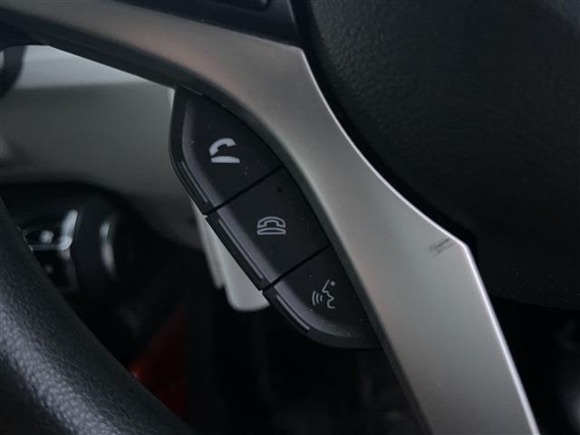 イグニス（新潟県柏崎市）画像32