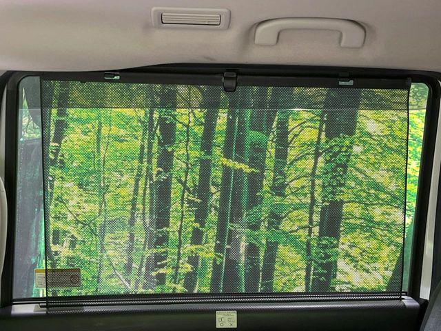 セレナ(新潟県長岡市)