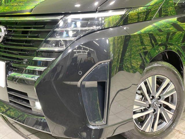 セレナ(新潟県長岡市)