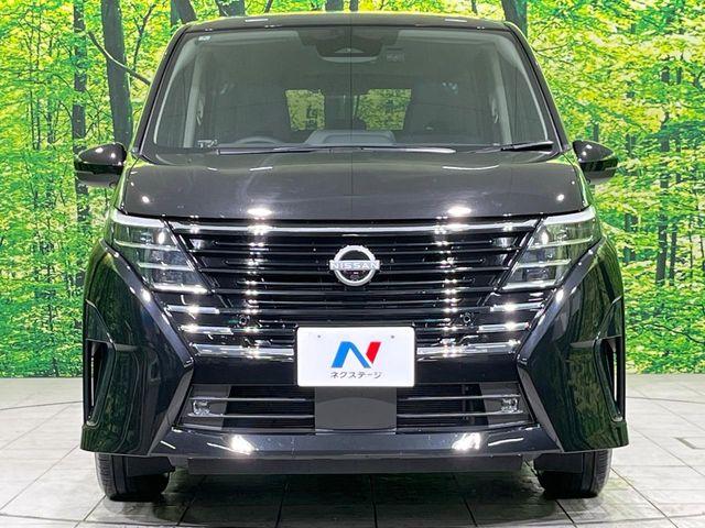 セレナ(新潟県長岡市)